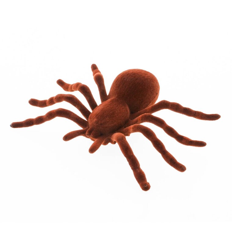 Product Image for Ruskea hämähäkki 18 cm