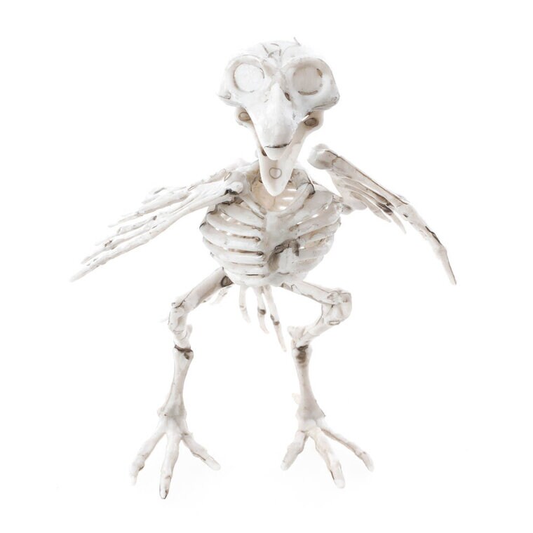 Product Image for Korpin luuranko 18,5 cm