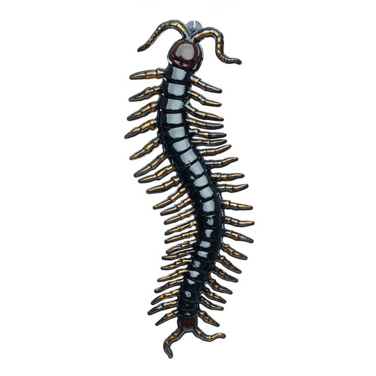 Product Image for Musta Tuhatjalkainen 90 cm
