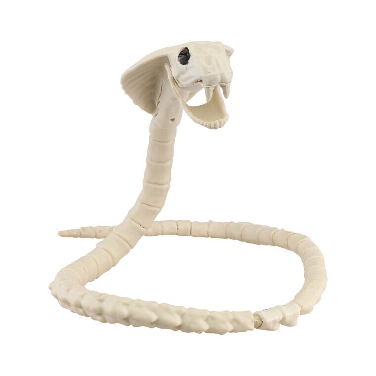 Product Image for Kobran luuranko 100 cm