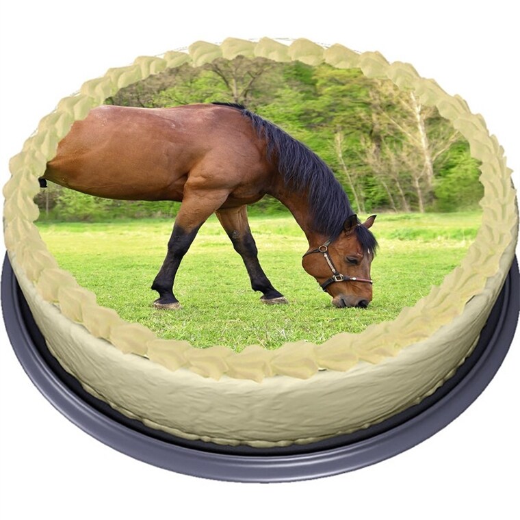 Product Image for Hevonen, Kakkukuva Sokerimassa