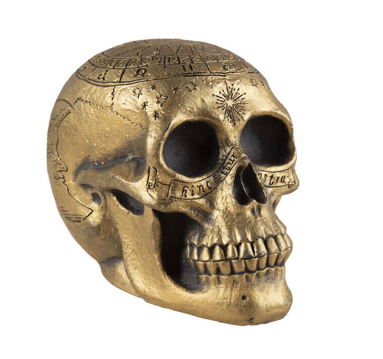 Product Image for Kultainen pääkallo 20 cm