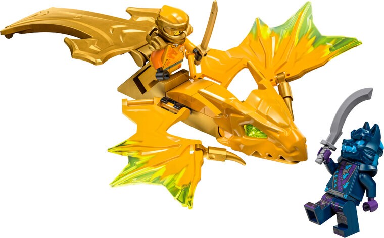 Product Image for LEGO Ninjago - Arinin lohikäärmehyökkäys 6+
