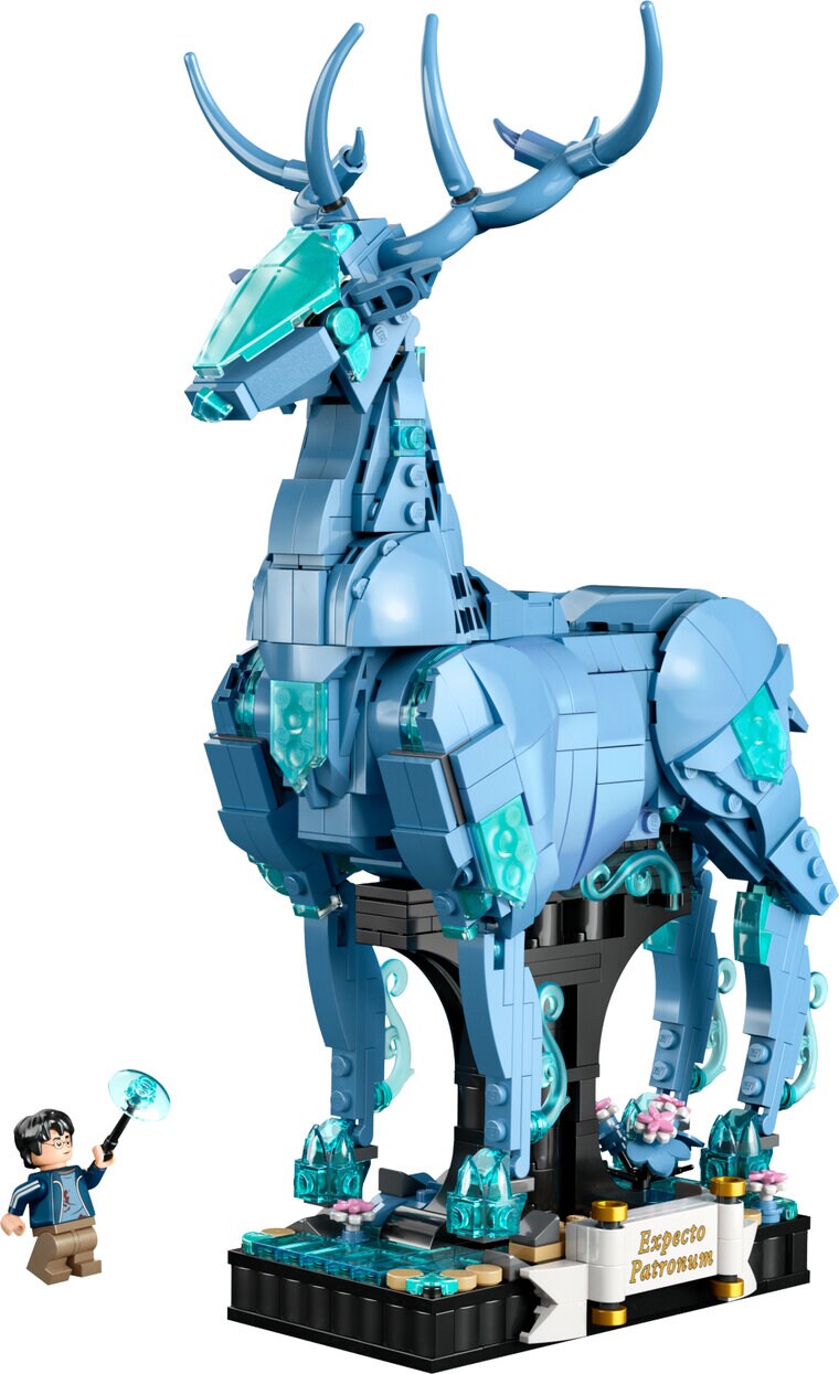 Product Image for LEGO Harry Potter - Odotum suojelius 14+