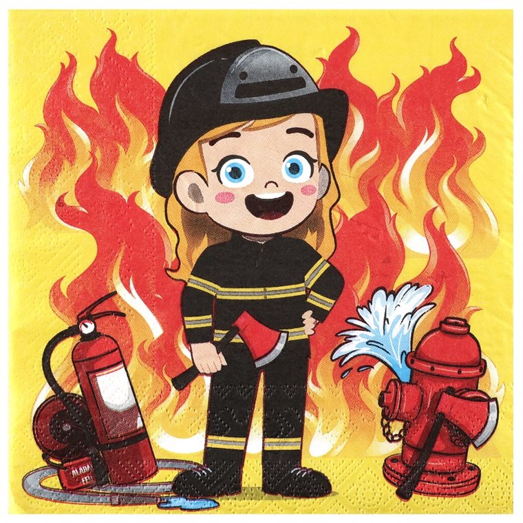 Product Image for Paloauto Servetit 20 kpl