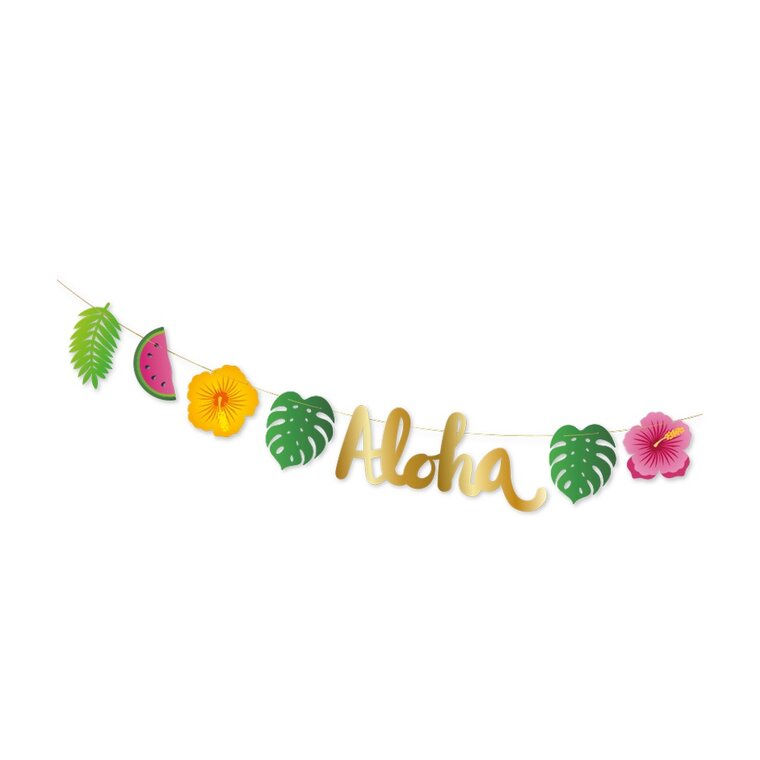 Product Image for Aloha Viirinauha 2 metriä