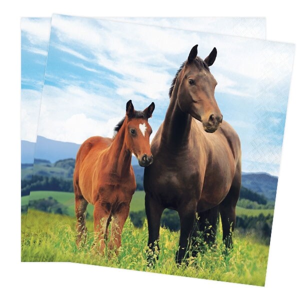 Product Image for Horse and Pony - Servetit 16 kpl
