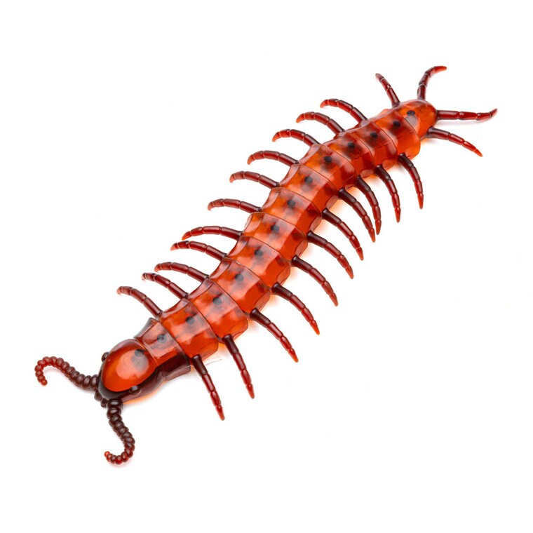 Product Image for Suuri tuhatjalkainen 45 cm