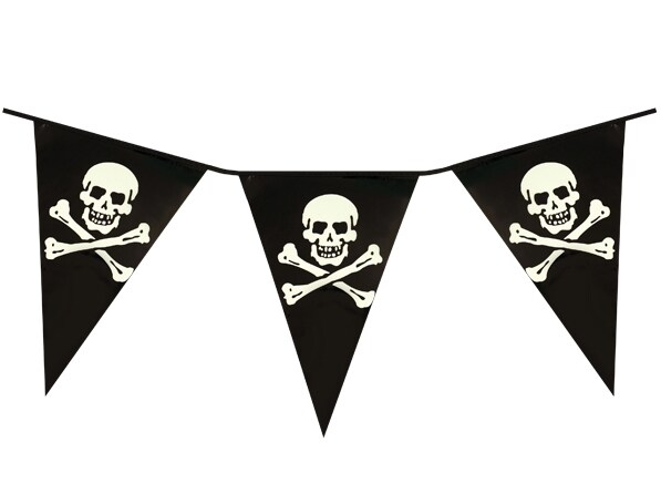 Product Image for Merirosvolippuköynnös 4 meter