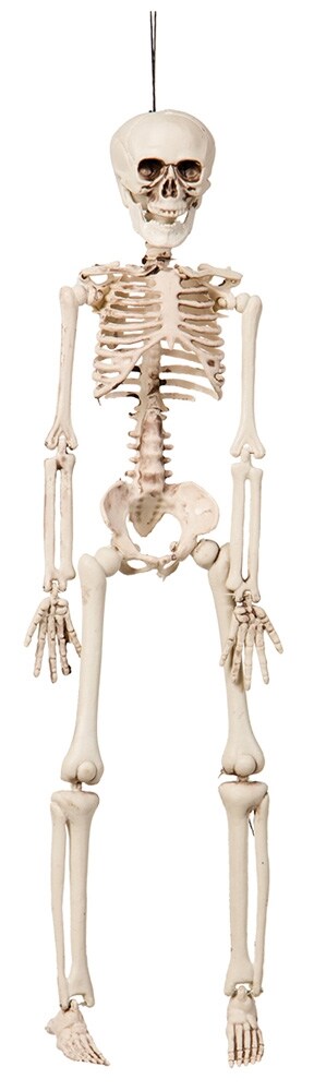 Product Image for Halloweenkoriste Luuranko 76 cm