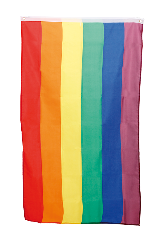 Product Image for Pride Lippu 60 x 90 cm