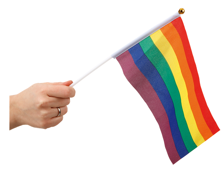 Product Image for Pride Pienet liput 6 kpl