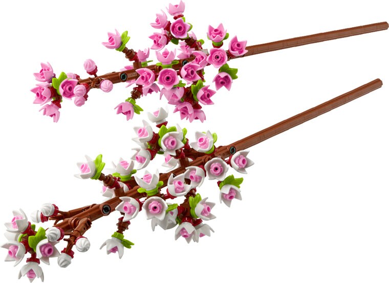 Product Image for LEGO Botanical Collection - Kirsikankukat 8+