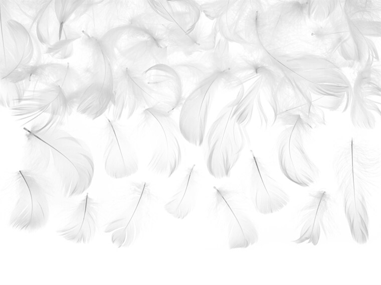 Product Image for Valkoiset Koristehöyhenet 3 grammaa