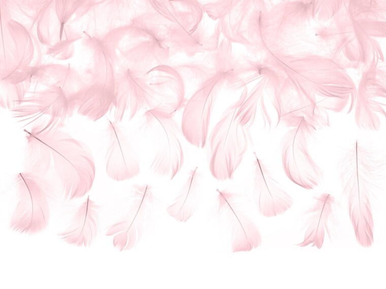 Product Image for Pinkit Koristehöyhenet 3 grammaa