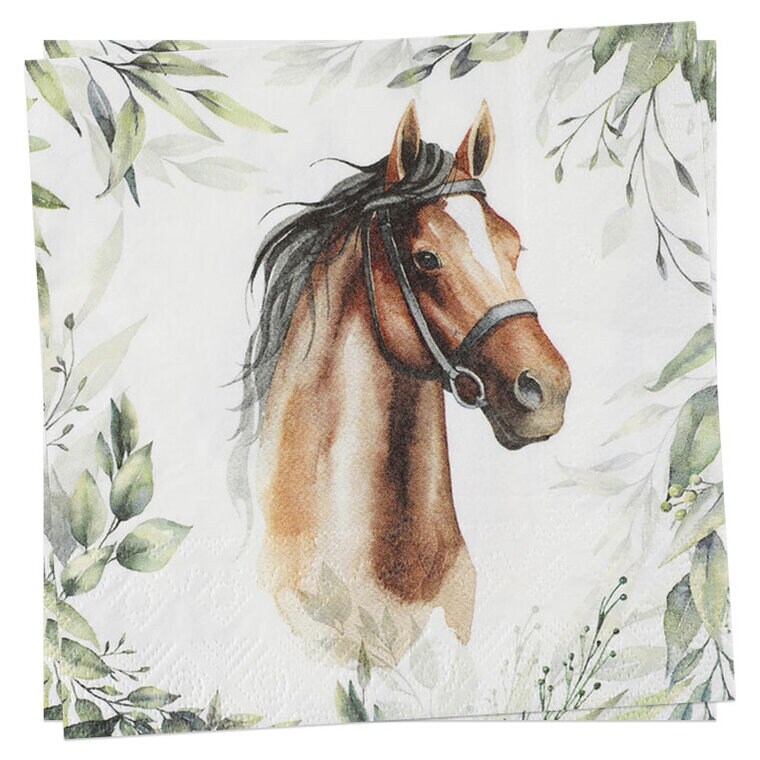 Product Image for Champion Horse - Servetit 20 kpl