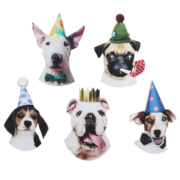 Product Image for Party Dog Konfetti 25 kpl