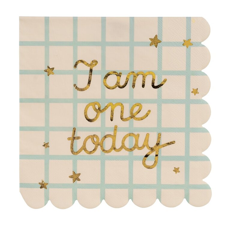 Product Image for Teddy Bear - Servetit 1-vuotta 12 kpl