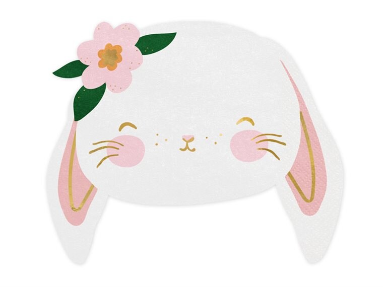 Product Image for Servetit, Kani 20-pakkaus