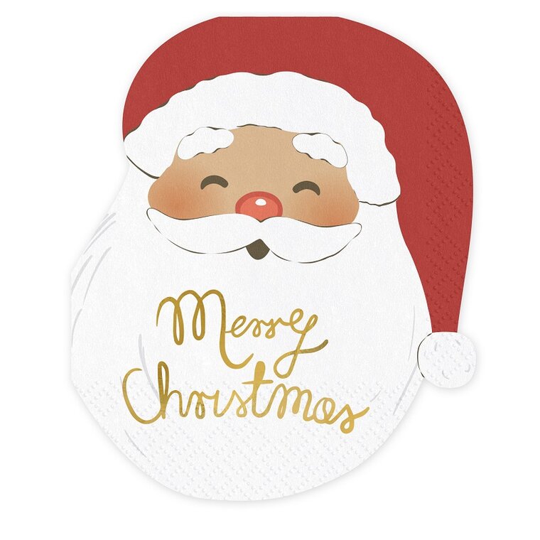 Product Image for Jouluservetit Tonttu 12 kpl