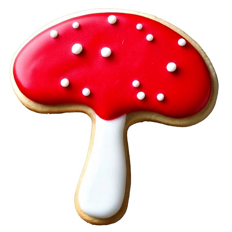 Wilton Kakkumuotti - Sieni