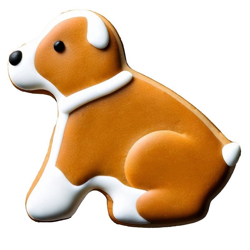 Wilton Kakkumuotti - Koira