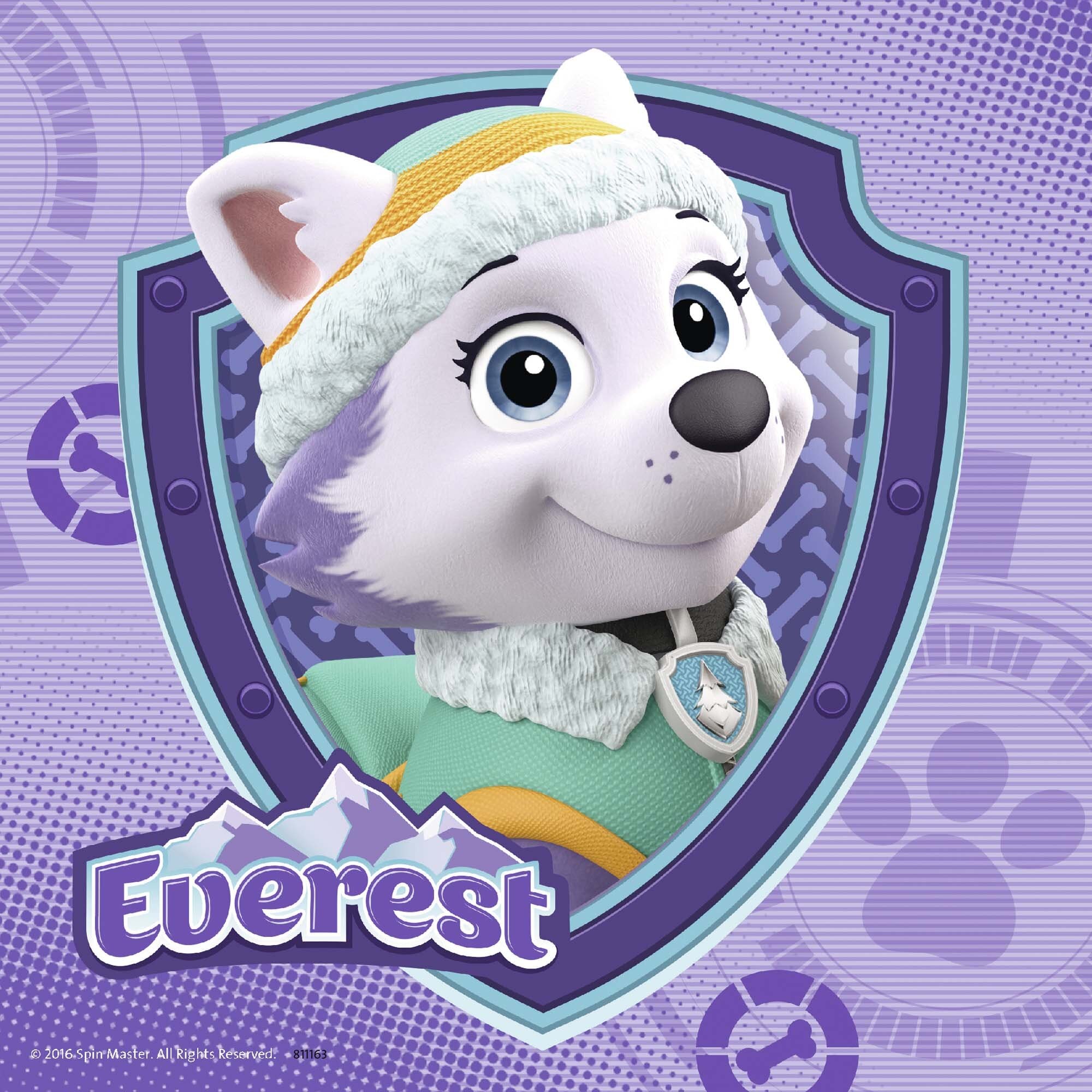 Ravensburger Palapeli, Paw Patrol - Skye & Everest 3x49 palaa