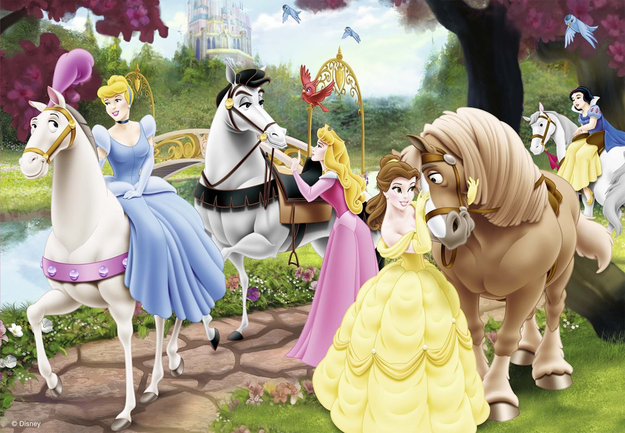 Ravensburger Palapeli, Disney - Princess 2x24 palaa