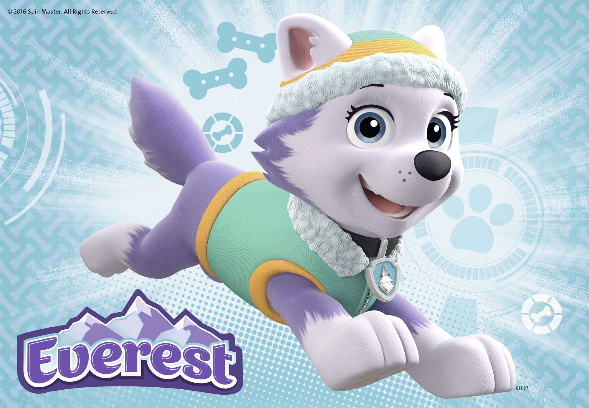 Ravensburger Palapeli, Paw Patrol Skye & Everest 2x24 palaa