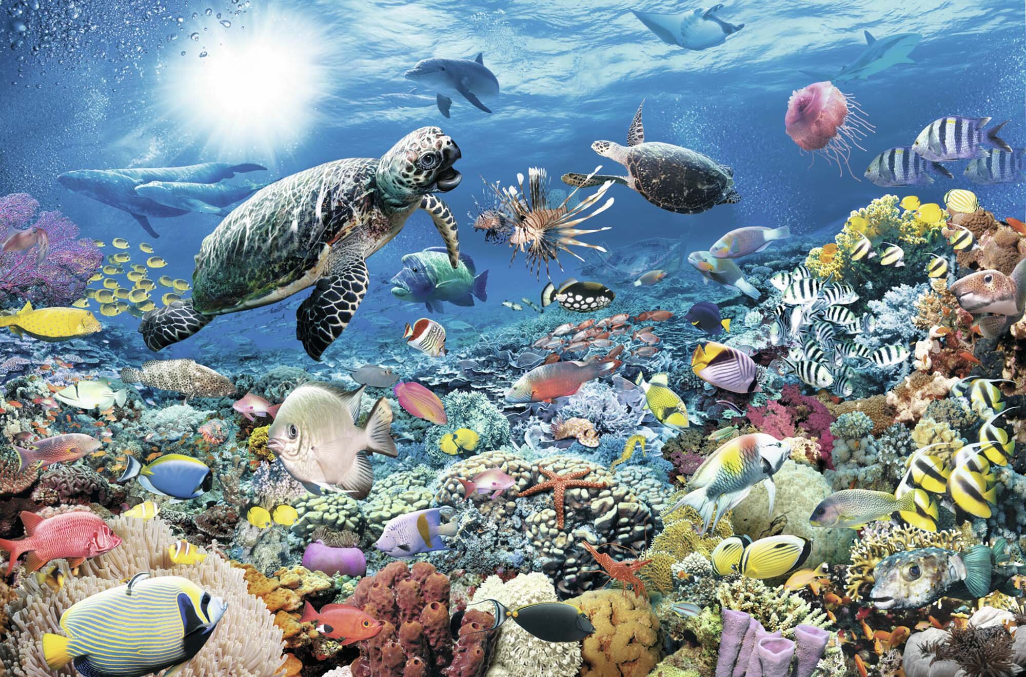 Ravensburger Palapeli, Beneath the Sea 5000 palaa