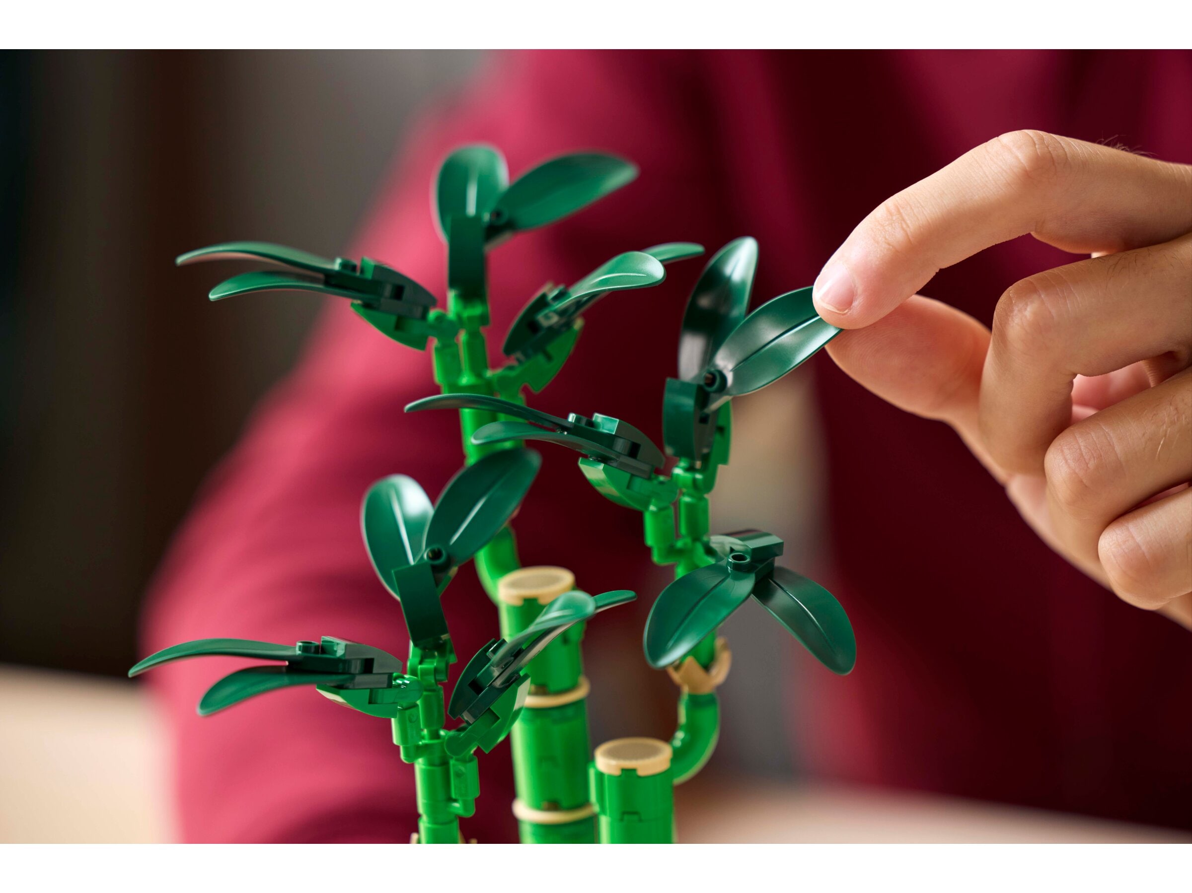 LEGO Botanical - Onnenbambu 18+
