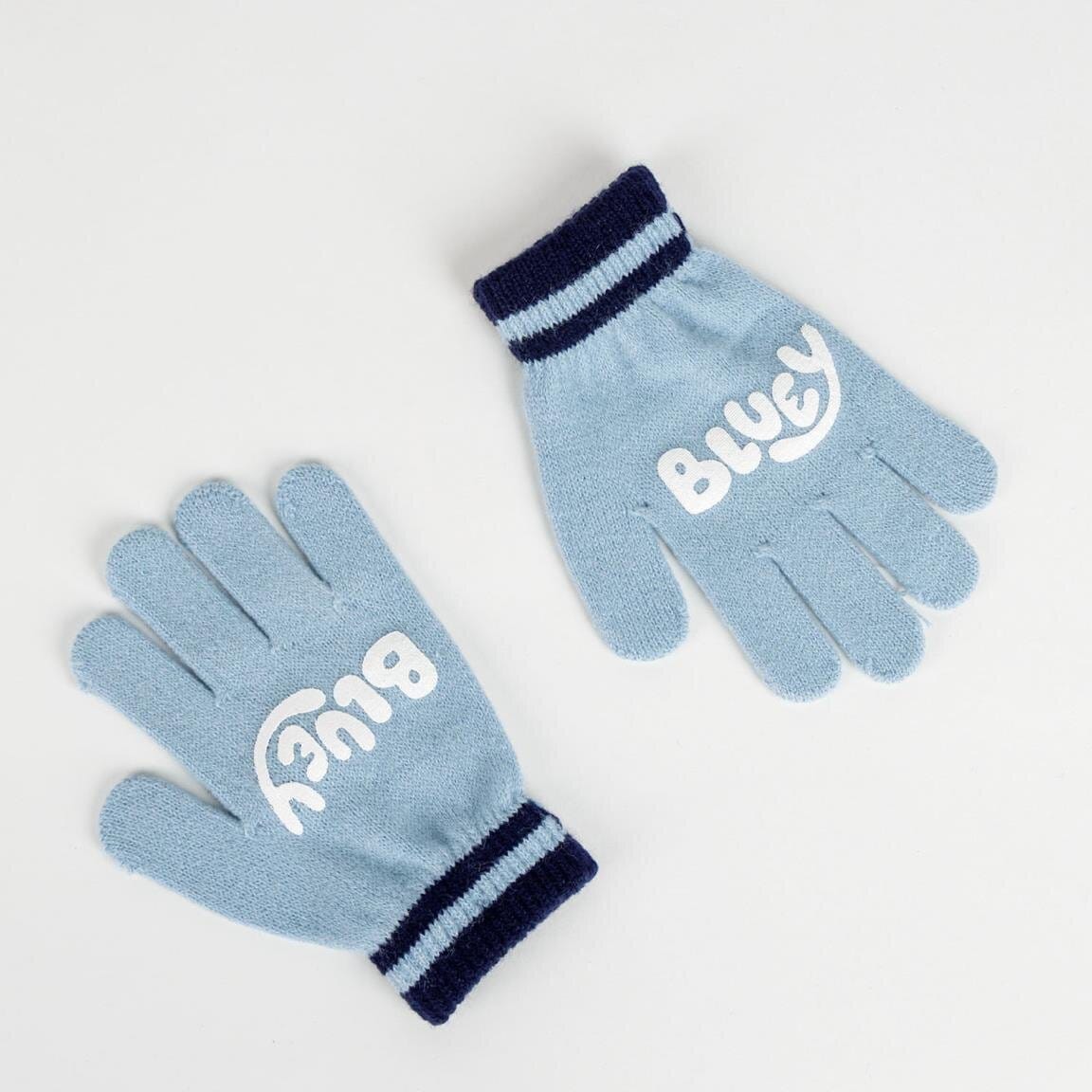 Bluey - Pipo ja hanskat