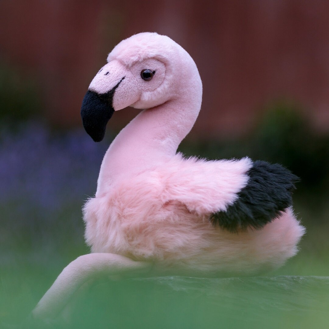 Animigos World of Nature Flamingo 24 cm
