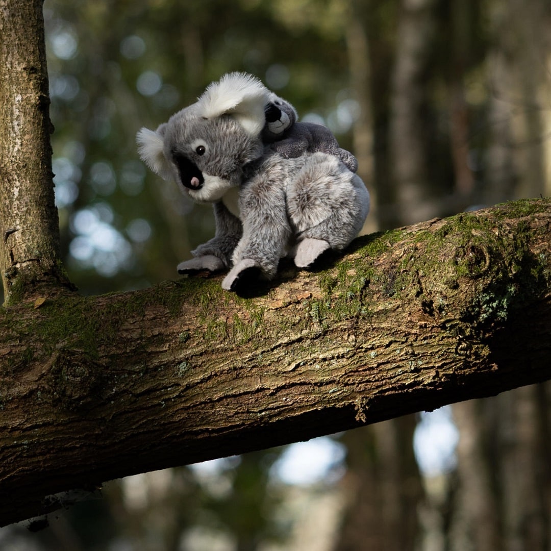 Animigos World of Nature Koala ja poikanen 25 cm