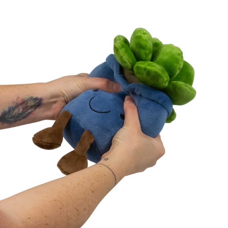 Animigos Funky Friends Kaktus 22 cm