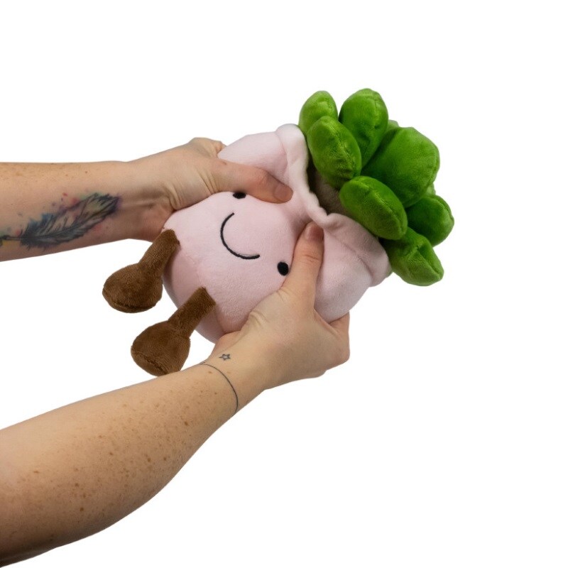Animigos Funky Friends Kaktus 22 cm
