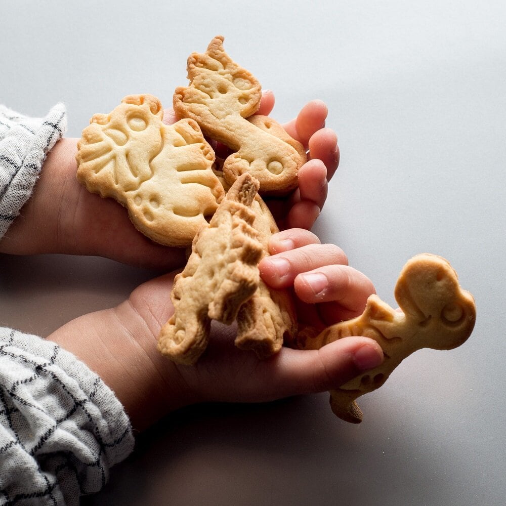 Kakkumuotit Dinosaurukset 2 kpl