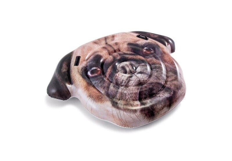 Intex uimapatja Playful Pug Island 163 cm