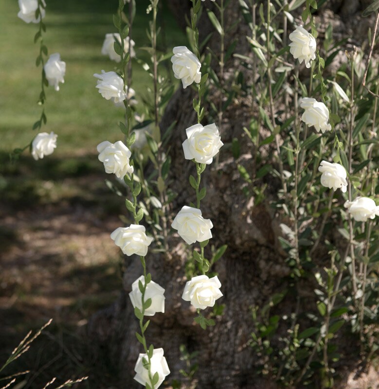 Koristeköynnös, Valkoiset Ruusut 120 cm