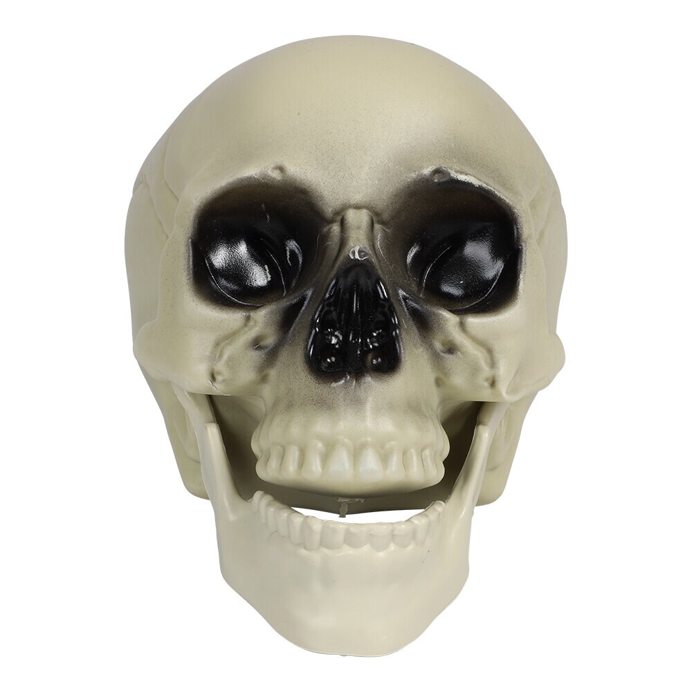 Pääkallo 18 cm