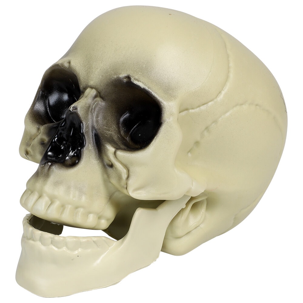 Pääkallo 18 cm