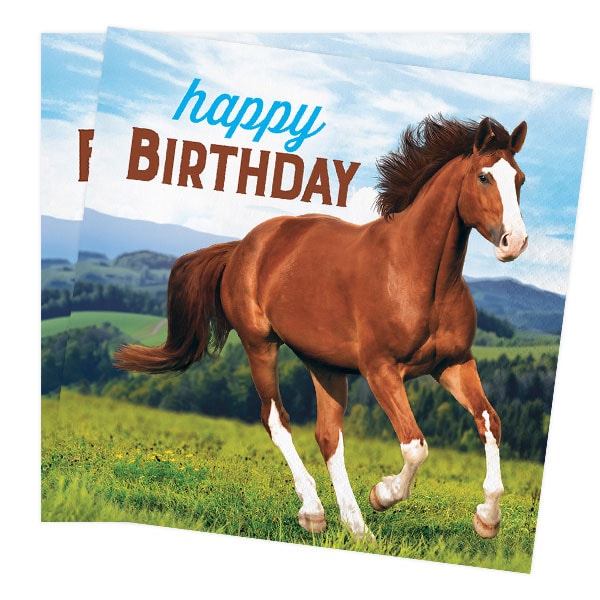 Horse and Pony - Servetit Happy Birthday 16 kpl
