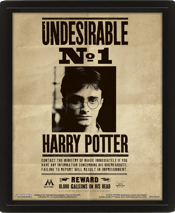 Harry Potter, 3D canvas-taulu Potter & Sirius