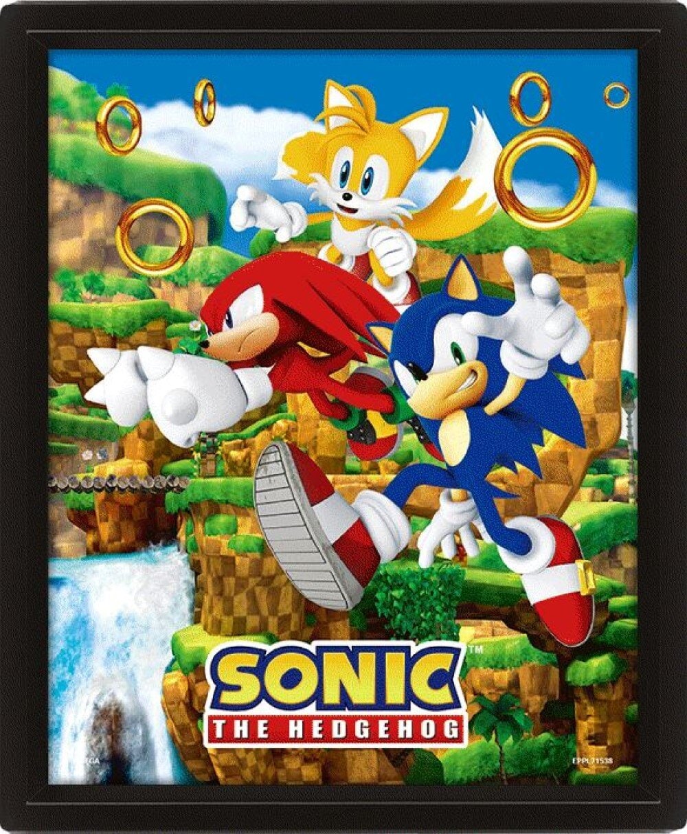 Sonic the Hedgehog - 3D Canvas-taulu