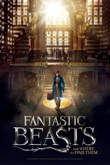 Fantastic Beasts, Palapeli Macusa 500 palaa