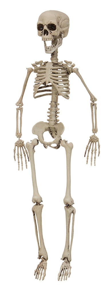 Halloweenkoriste Luuranko 90 cm