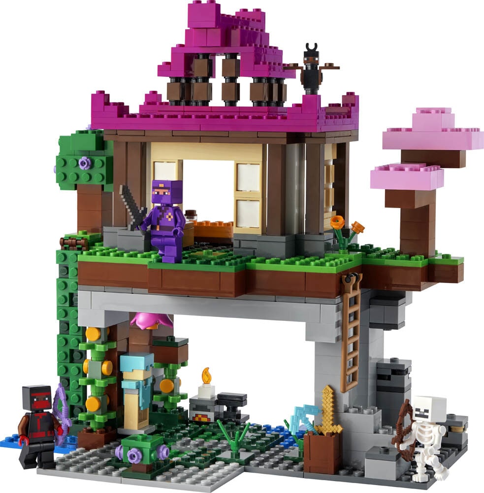 LEGO Minecraft, Treenikeskus 8+