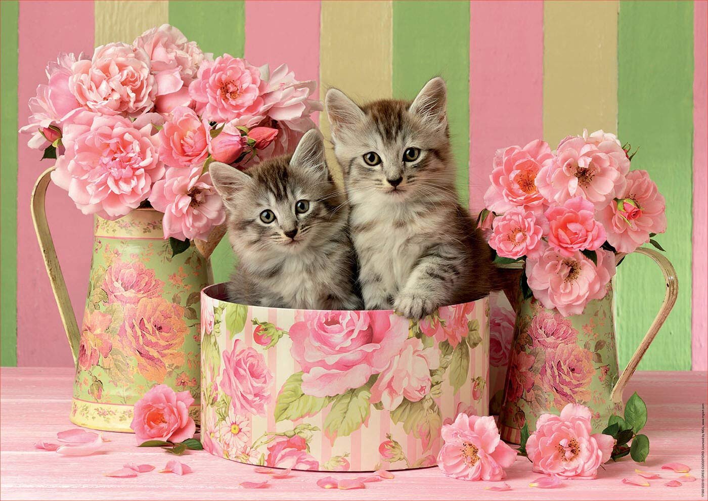 Educa Palapeli, Kittens with Roses 500 palaa