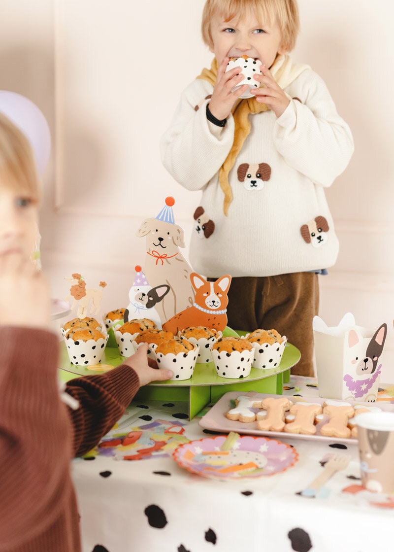 Dog Party - Muffinisomiste 45cm