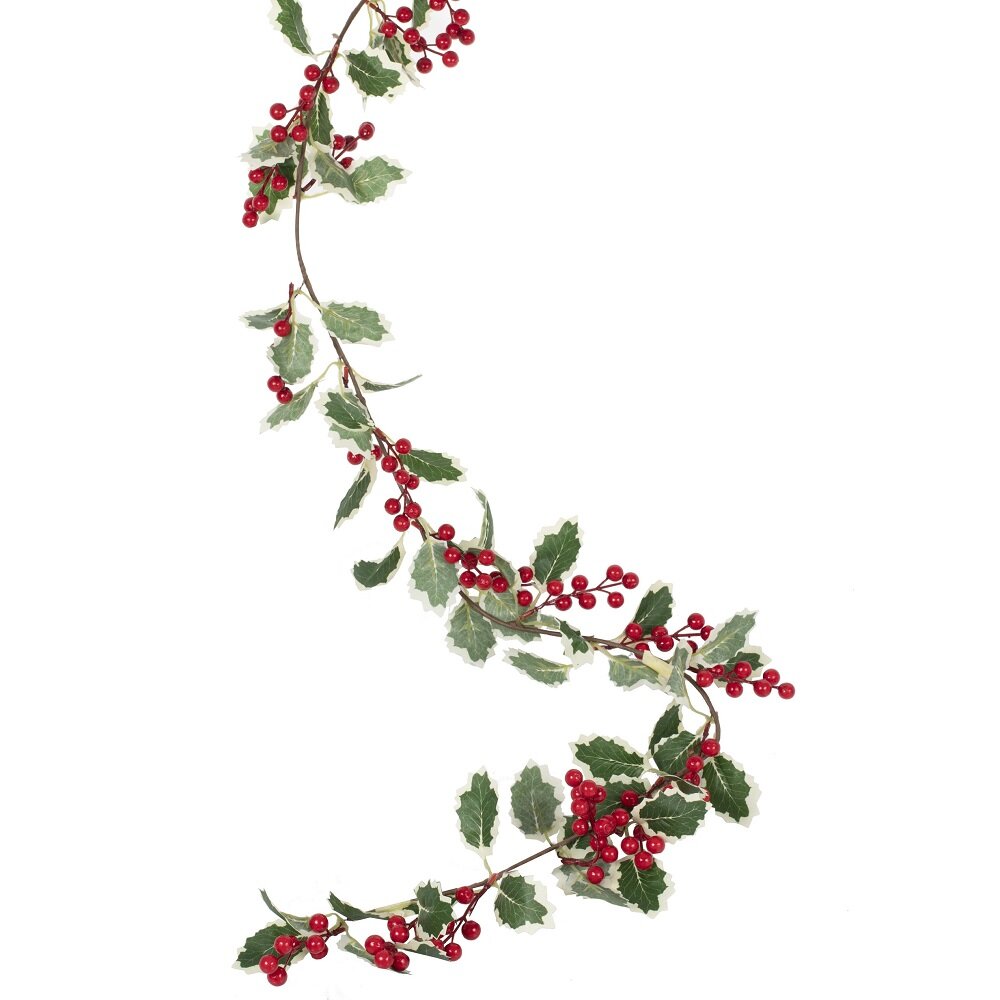 Kukkaköynnös Orjanlaakeri punaisilla marjoilla 180 cm